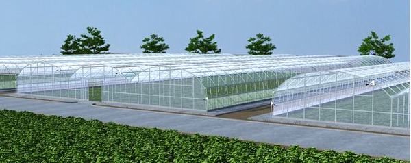 [prolist.productname]