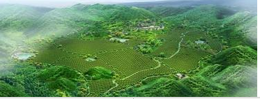 農(nóng)業(yè)園區(qū)規(guī)劃